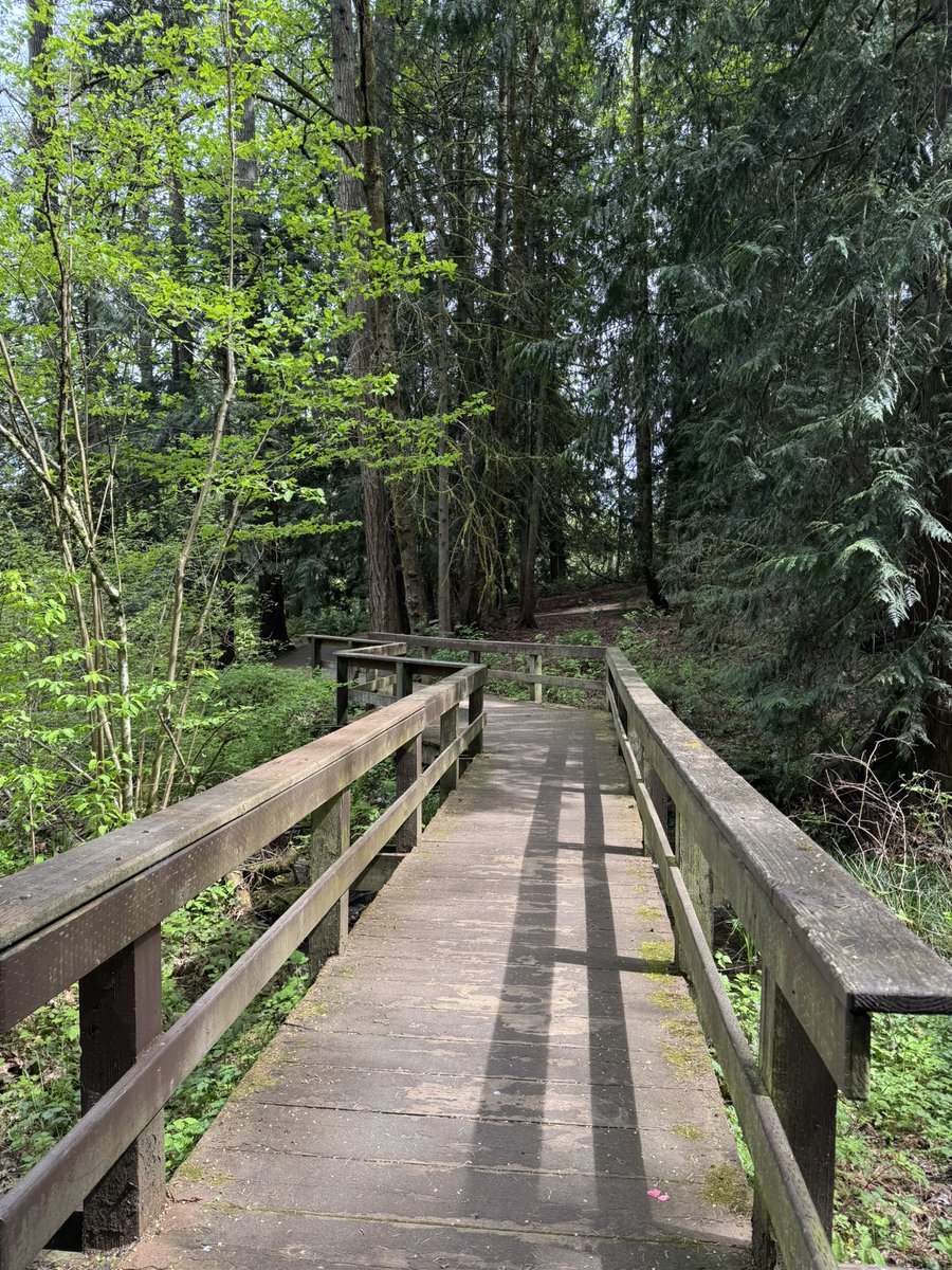 KAZE 風 tweet media