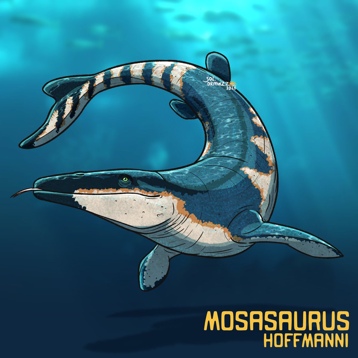 Lucca2951's tweet image. The Lizard of the Meuse River 🦎🫧
Mosasaurus! Not a Dinosaur but a prehistoric classic nonetheless

#Art #ClipStudioPaint #Paleontology #Mosasaurus #JurassicPark