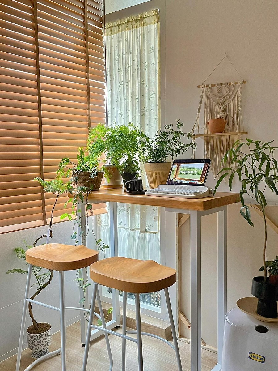 Rajesh Thakur tweet media