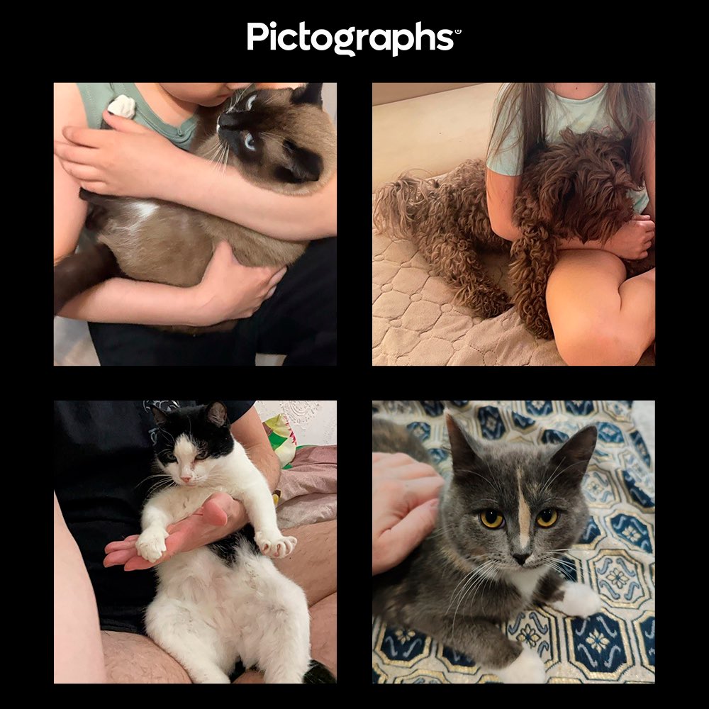 Let’s add a bit of color, money, and our furry friends to your feed