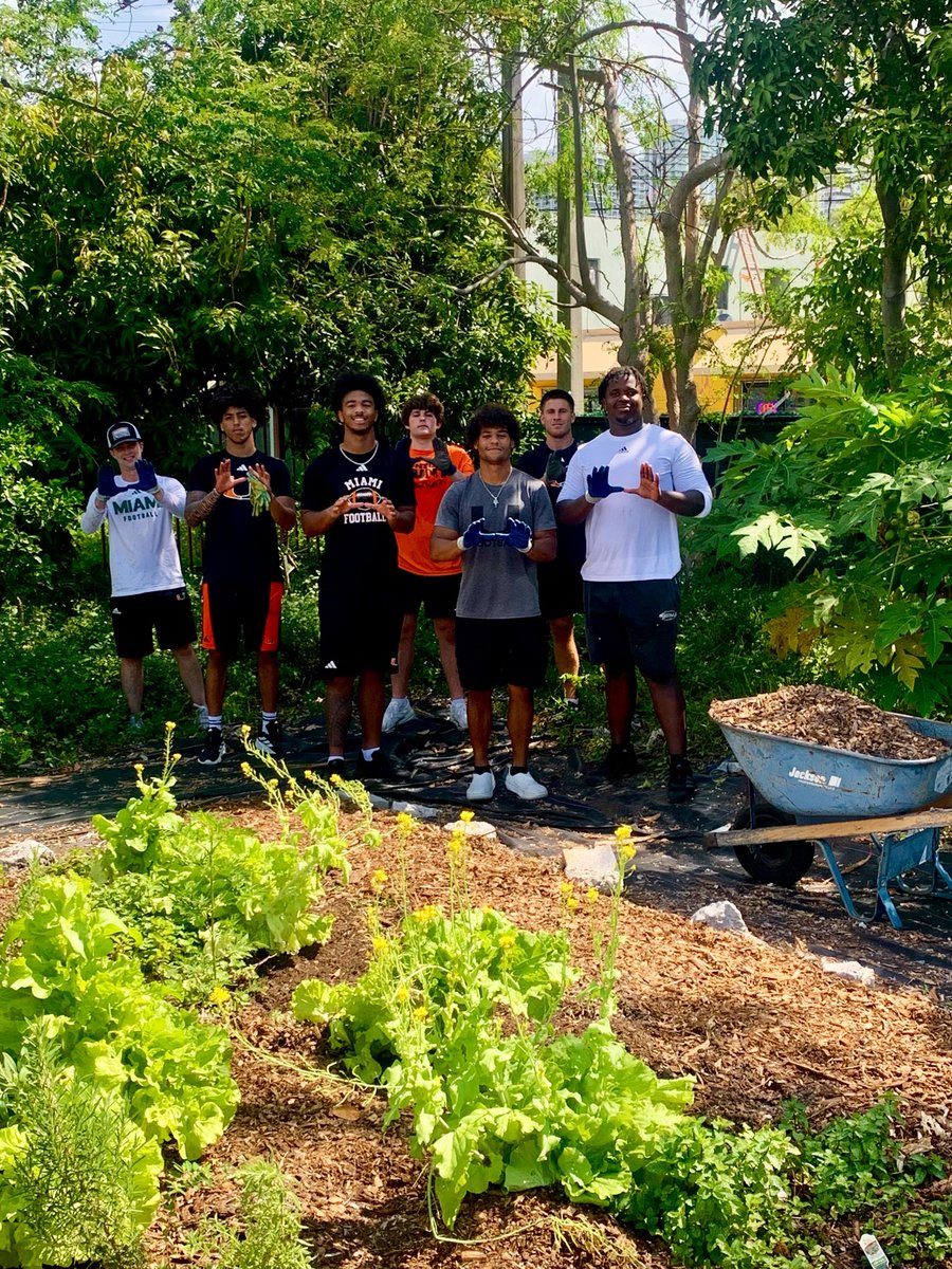 Mike Viti tweet media