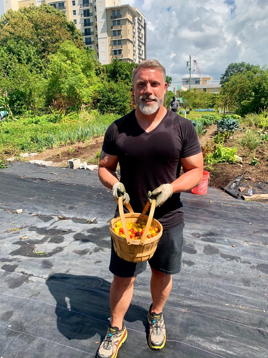 Mike Viti tweet media