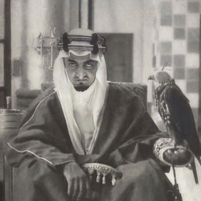 Kingdom of saudi 🇸🇦 tweet media