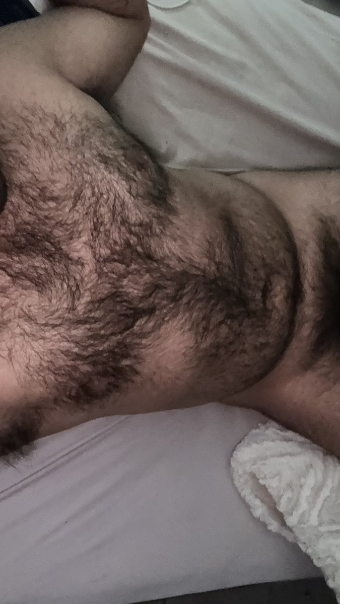 MR PELUDO tweet media