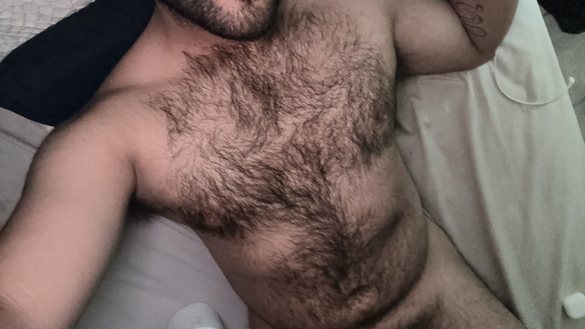 MR PELUDO tweet media