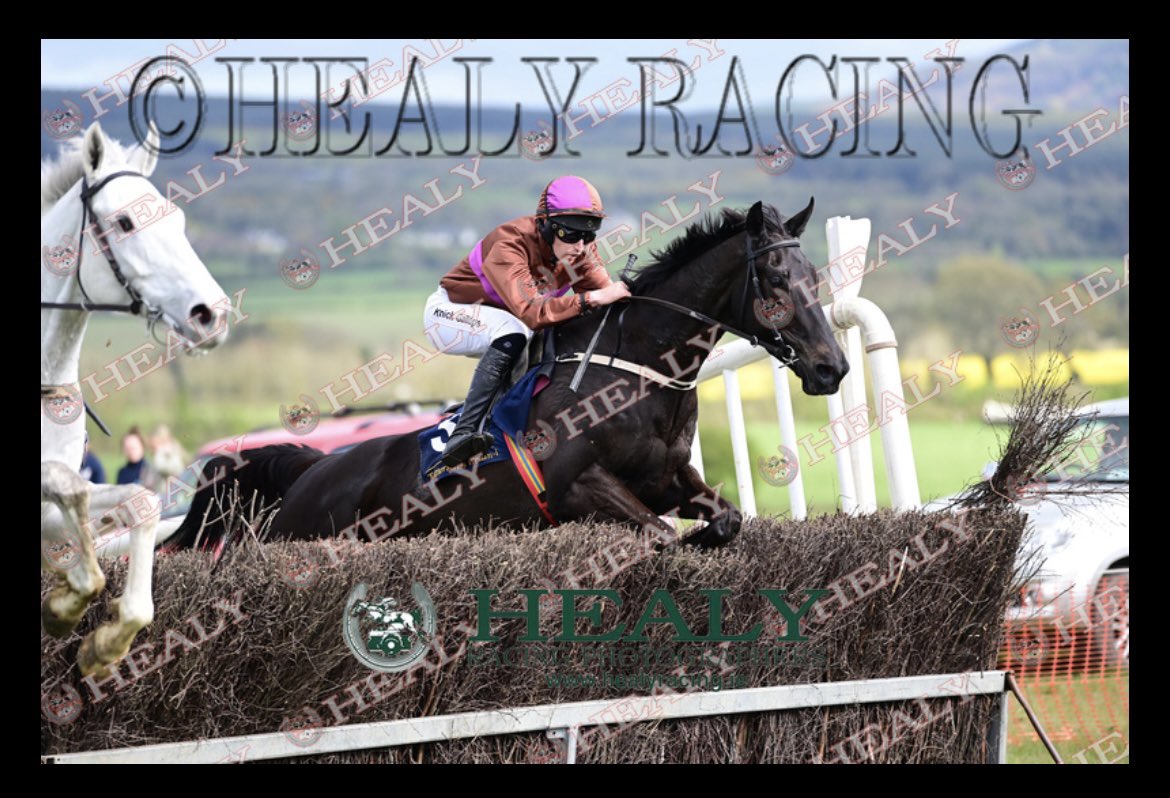 Kilminfoyle Hse Stud tweet media