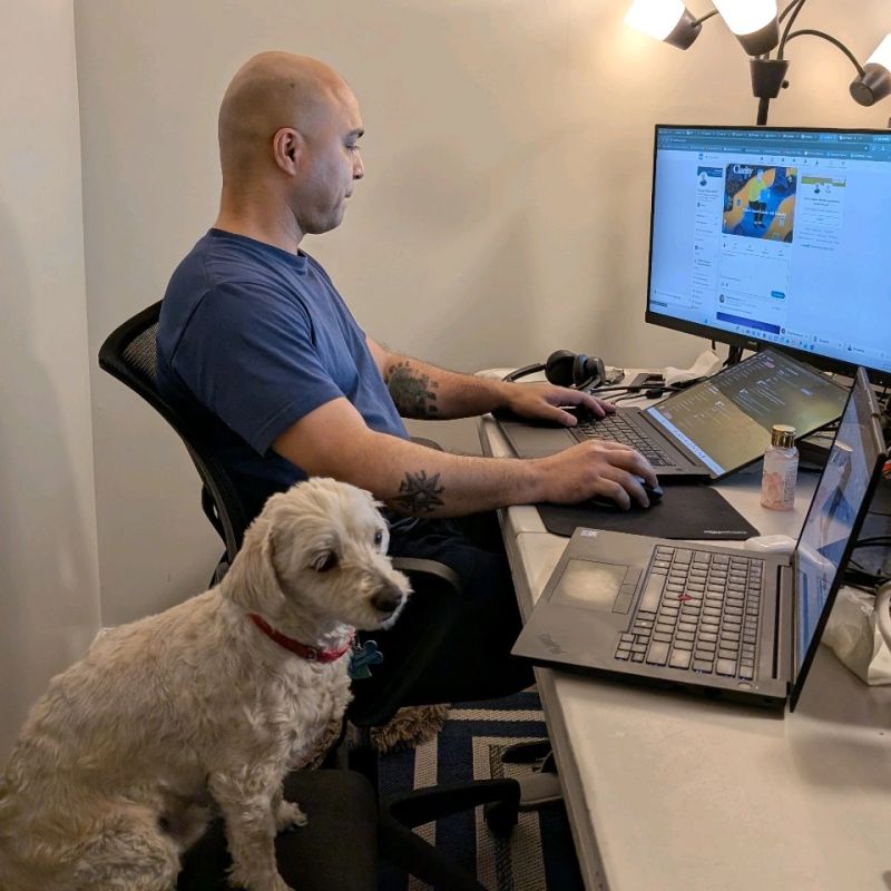 Anonymanasensei's tweet photo. A new teammate has joined us in SF

He is fun, playful, and dislikes bugs (fr)

He is asking for titles with his puppy eyes now

I am thinking Chief Vibes Officer

Open to other suggestions :)

Happy California Sunday! https://t.co/EVNAWERKS4