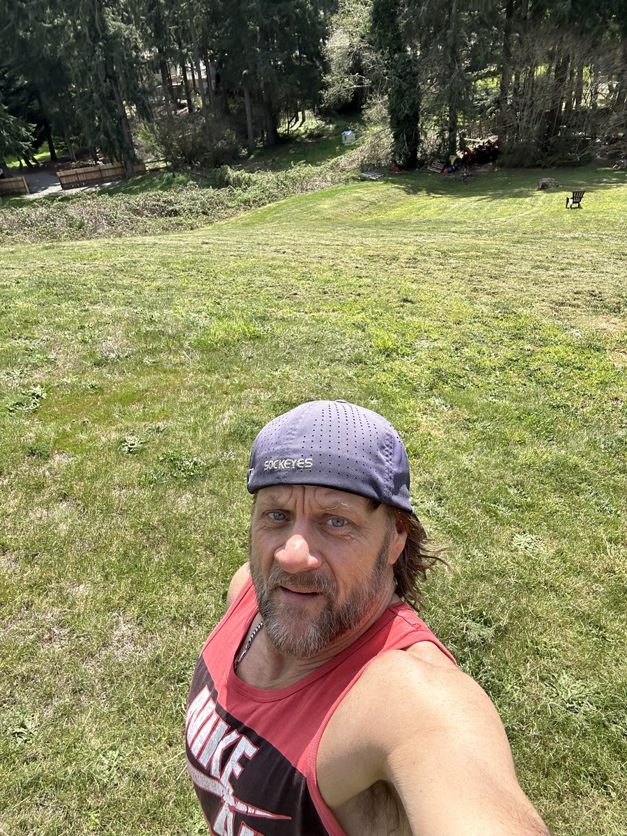 Mark McDaniel tweet media