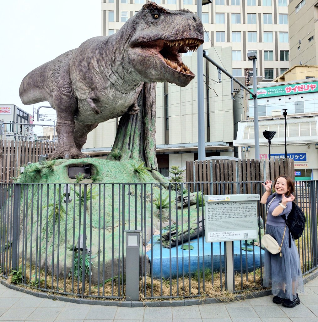 田中めぐみ tweet media