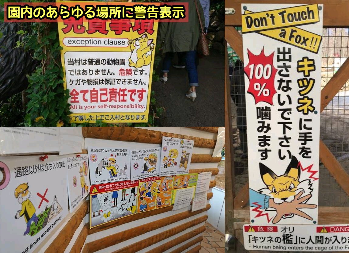 滝沢ガレソ tweet media