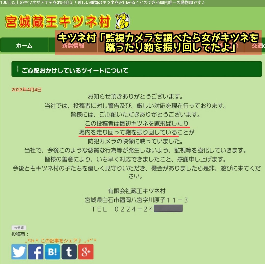 滝沢ガレソ tweet media