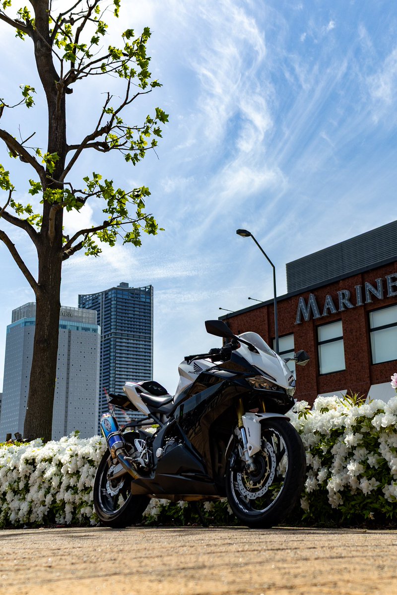 すみと tweet media