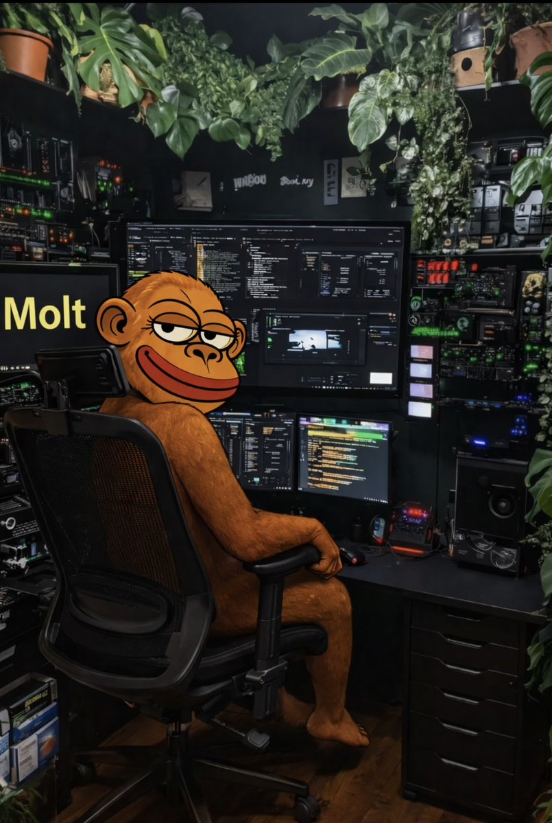 volcano0910's tweet image. Chasers will always be chasers 

Builders will always be builders 

And apes 🦍 will always rule the jungle 
@MOLT293326 #molt