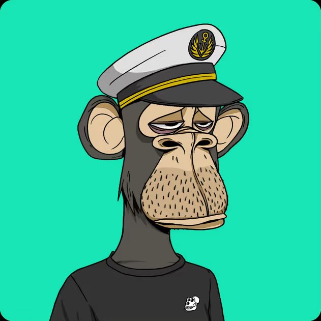 SteveG. tweet media