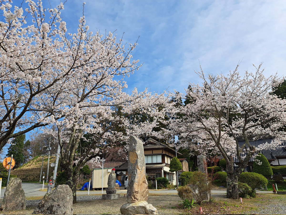 水野羽鳥@CafeWildgeese tweet media