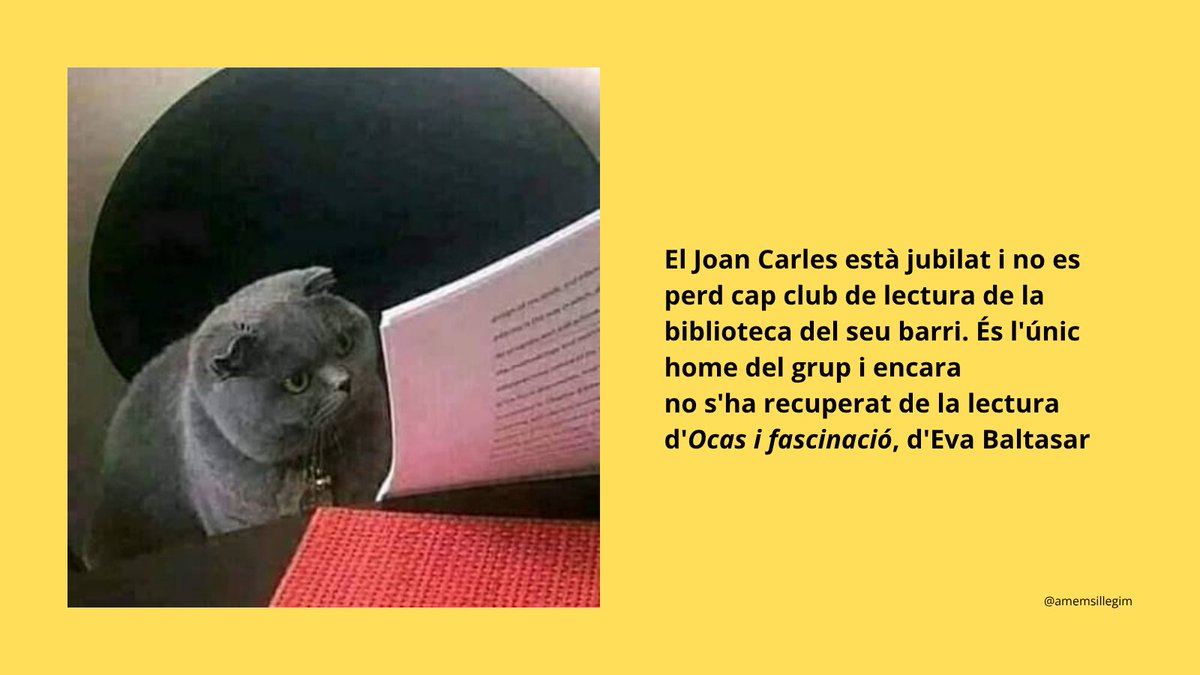amemsillegim's tweet photo. 🙃 Estrenem secció: tipus de lectors! https://t.co/srAGkABtHt