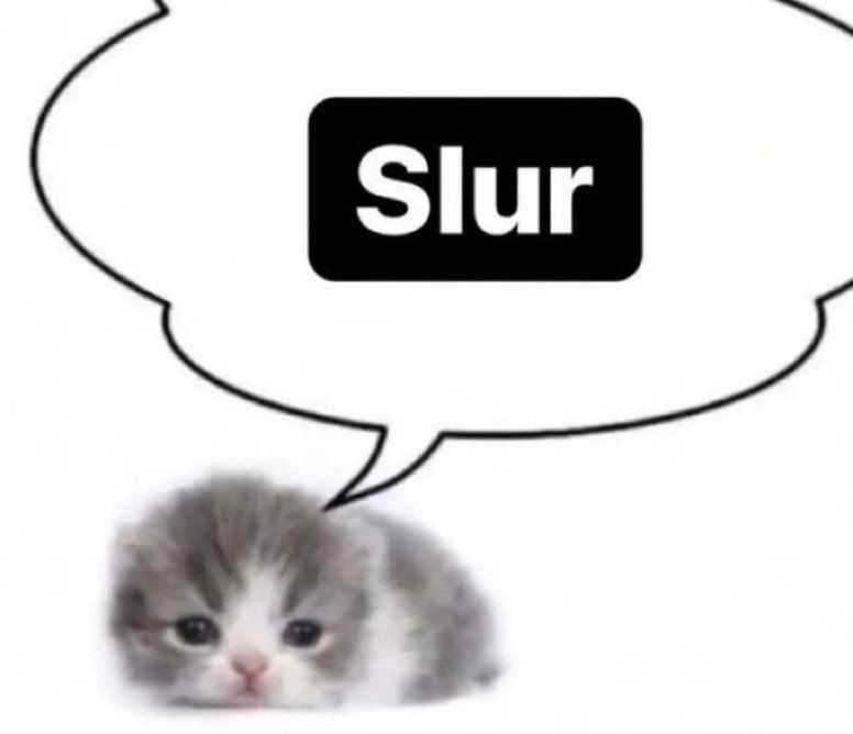 Daily Cat Posting tweet media