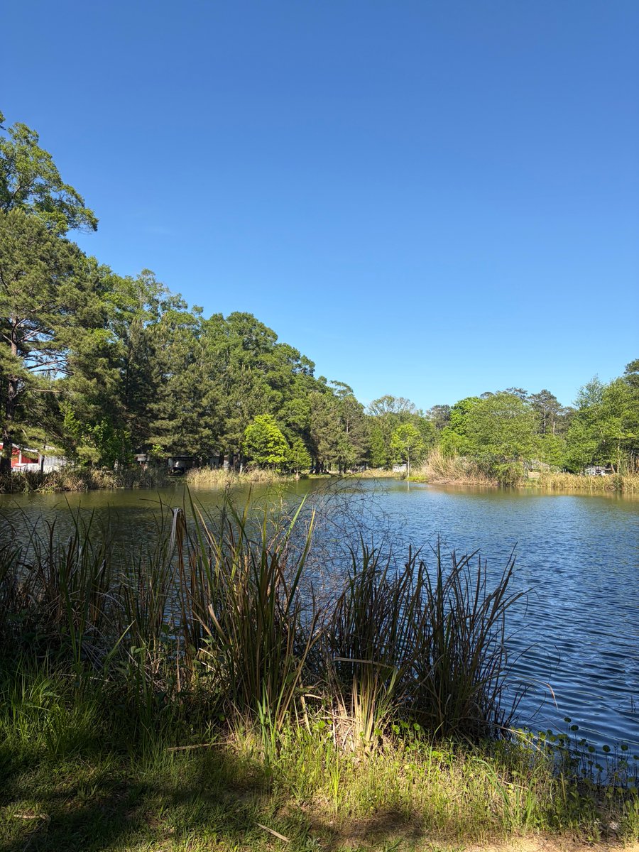 John C. Gillespie (@johncgillespie1) on Twitter photo 