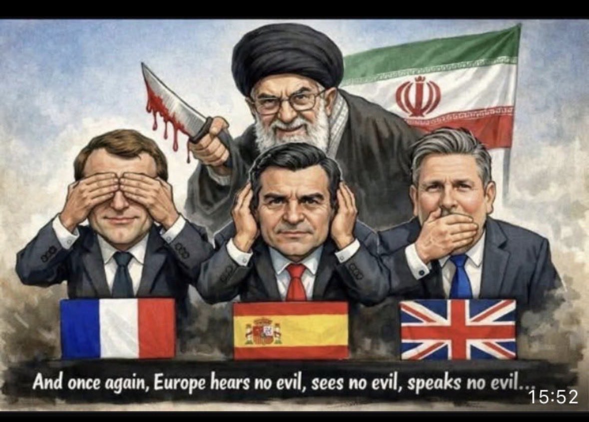 Meatballs n Paradise tweet media