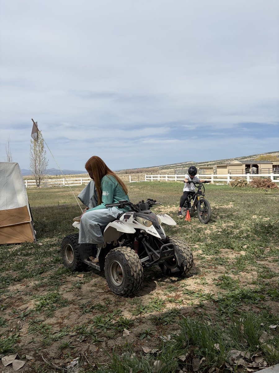 Austen Allred tweet media