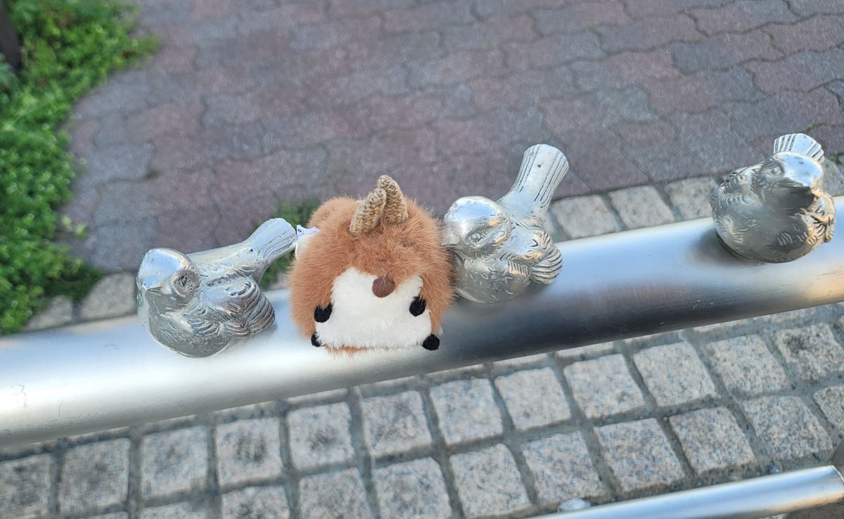 るぅたん tweet media