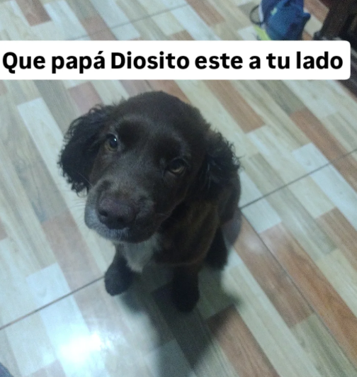FNAFHSLPA tweet media