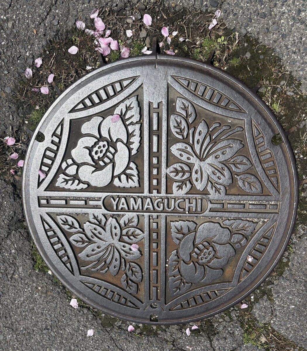 <a href="/Su73669564/">Susann✈️🌏</a> #ManholeMonday