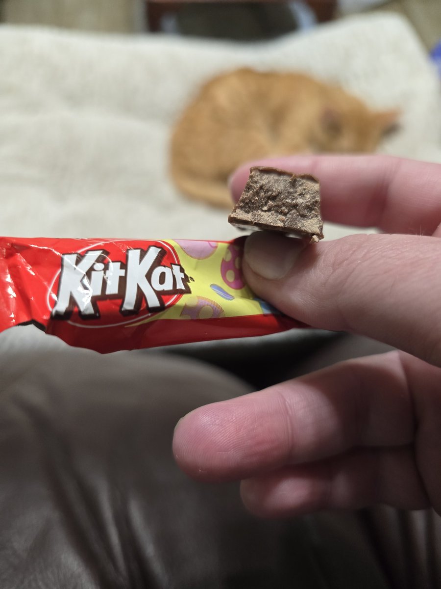 TheMorbidHobbiest tweet media