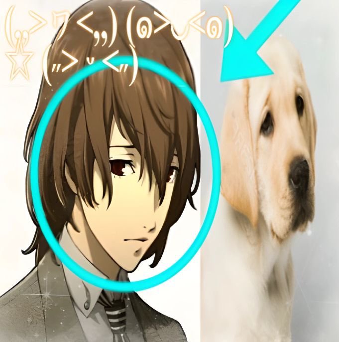 daily akechi 🐦‍⬛ tweet media