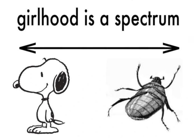 Andyy📍jurídico do hudson‼️ tweet media