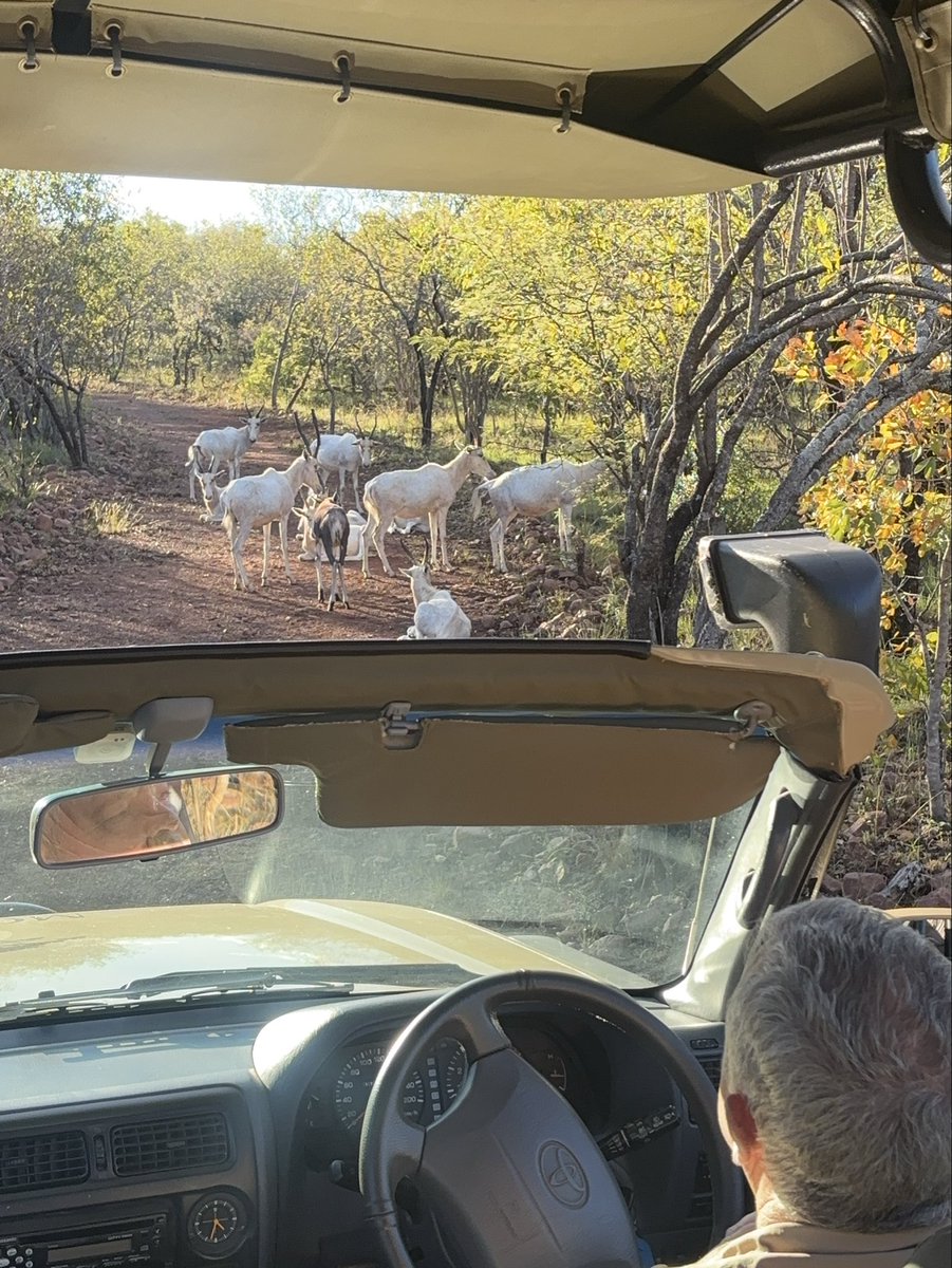 Love_Yourz ❤️ tweet media