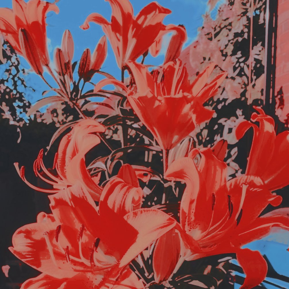 ‍ ‍‍ ‍‍ ‍‍* 𝓜͟s‍ ‍‍‍━┈┈ ‍𝓙𝐎𝐊𝐄 .ᐟ tweet media