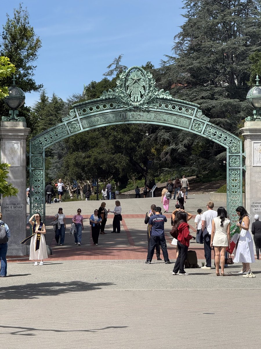 Elijah Araya tweet media