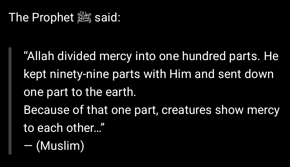 CalmGiraffe tweet media