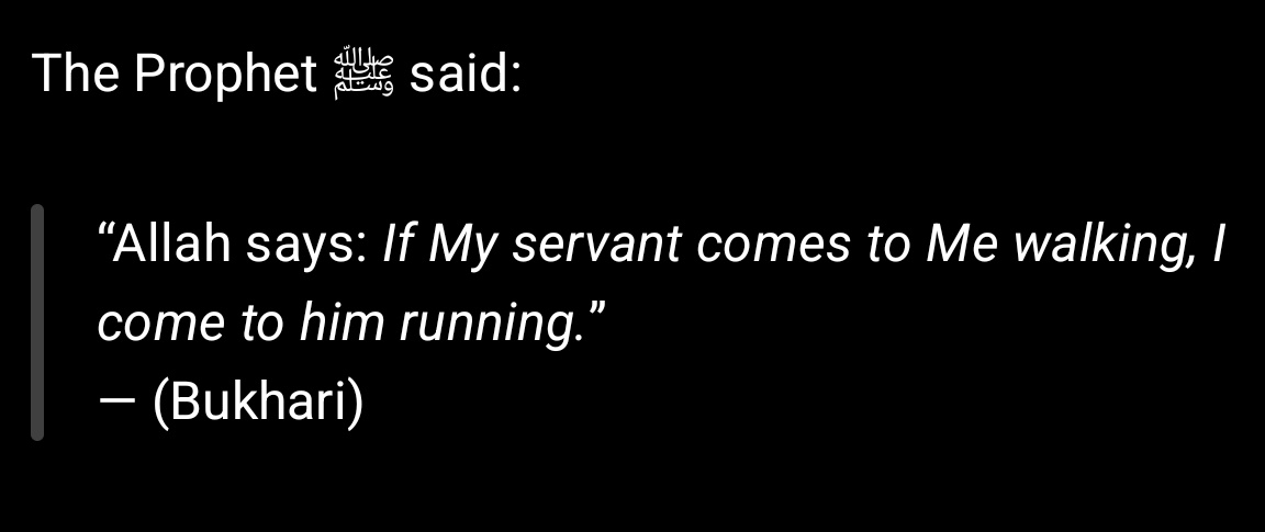 CalmGiraffe tweet media