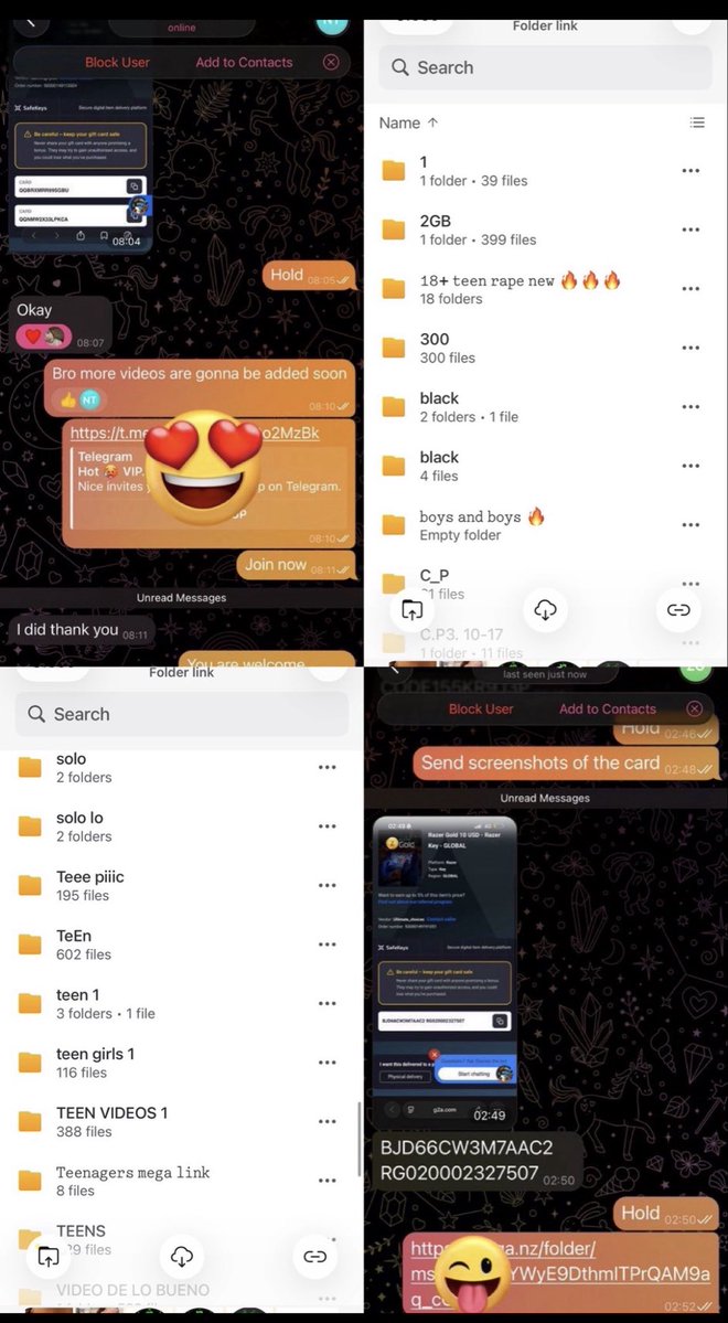 Sophia neirar tweet media