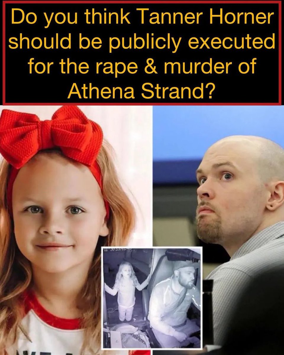 Proud Elephant 🇺🇸🦅 tweet media