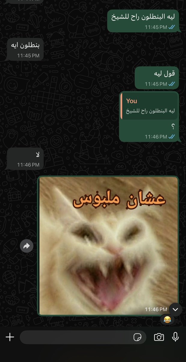 مَحْمود tweet media