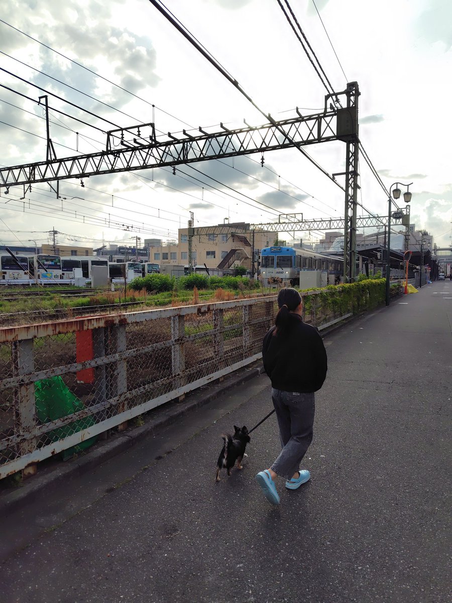 moriyakamijo tweet media