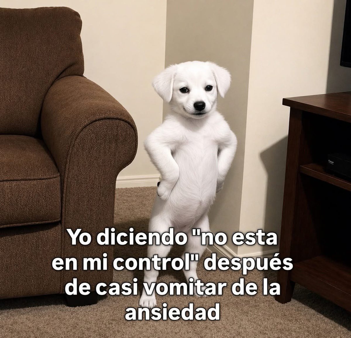 Salvador Iglesias Jr (@javisness) on Twitter photo 
