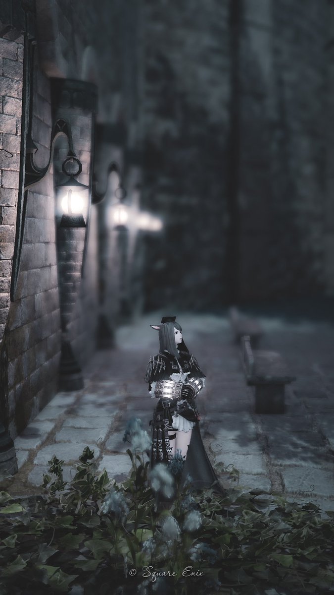 𝐍𝐞𝐯𝐞 tweet media