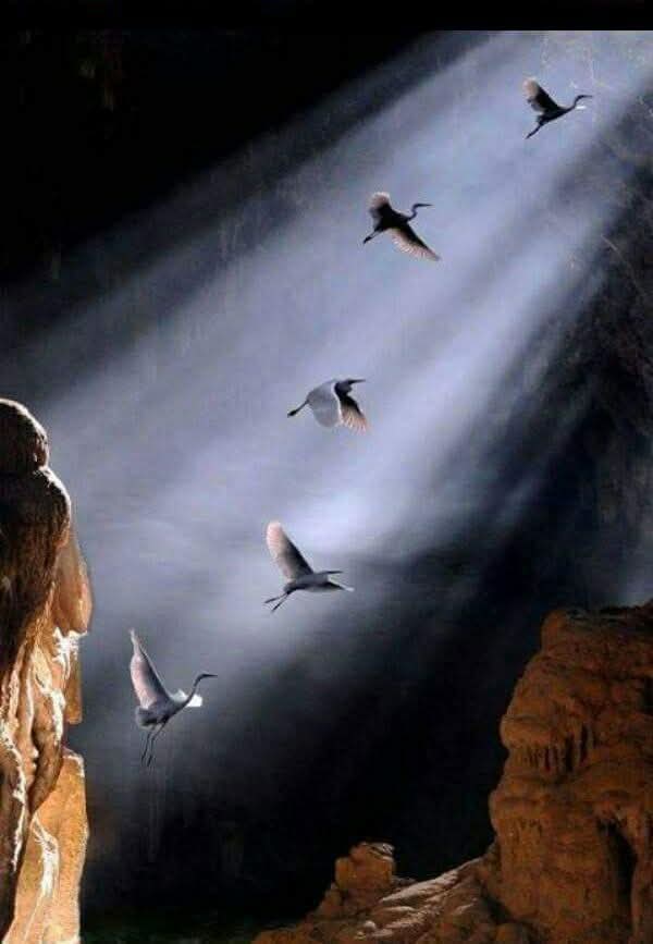 حين تغلغل نور حبك 
تسرب الضياء
الى خزائن الروح 
وعمد على فك أقفالها
شعّ عمري.....
 وتوهج بالحياة وجهي♥️

أنشودة شاعر ✍️