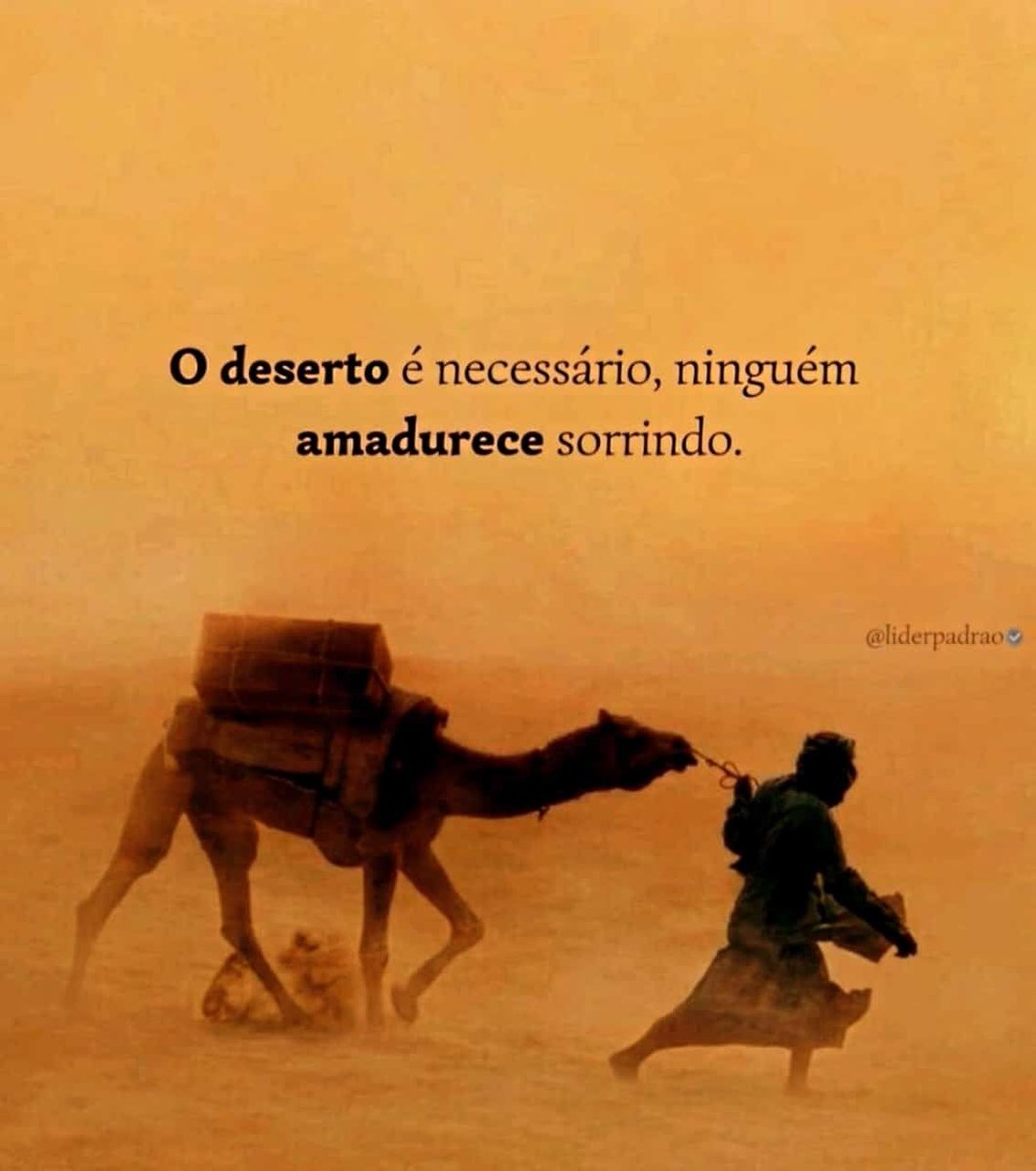 A Profecia! (@livrodaprofecia) on Twitter photo 