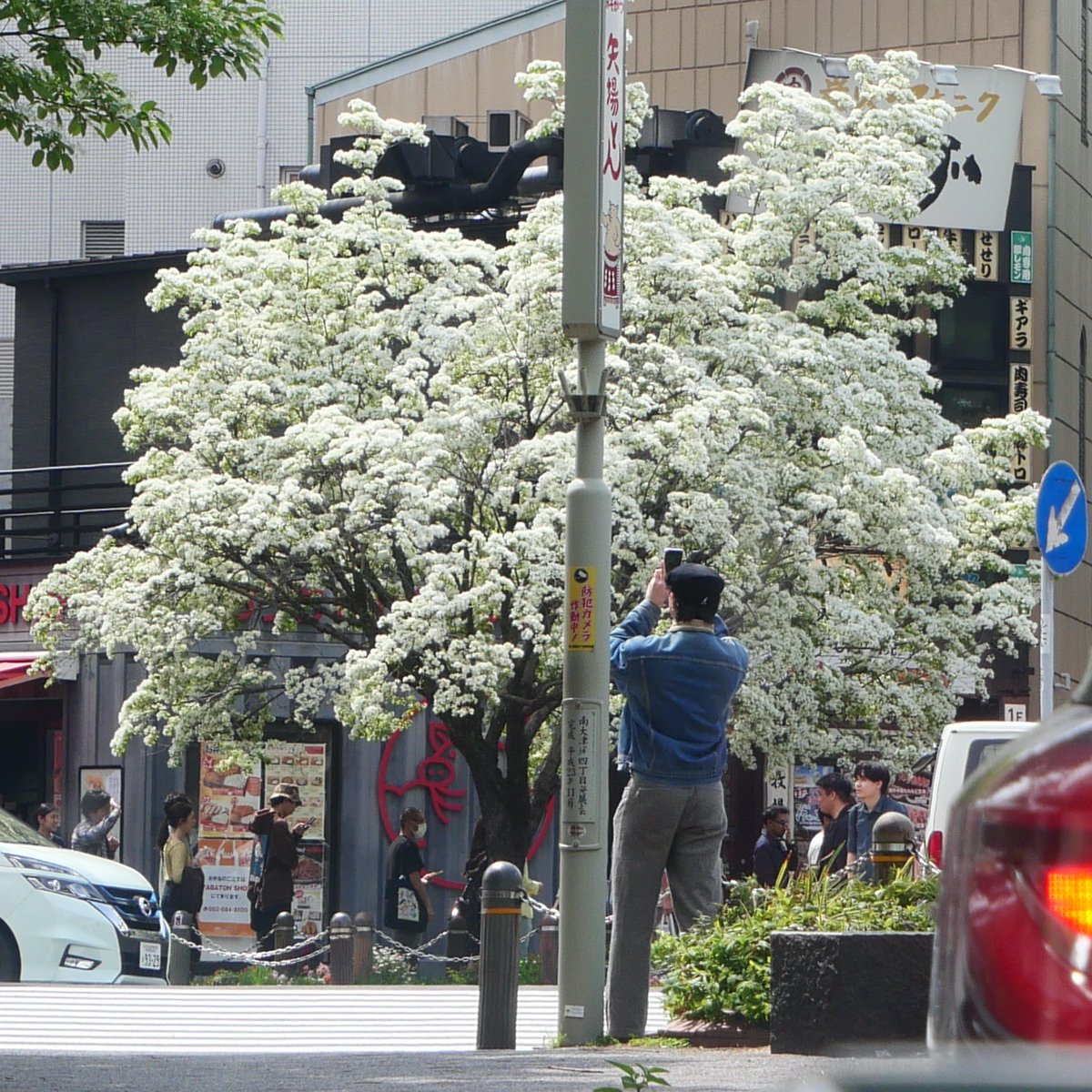 棚瀬和重 tweet media