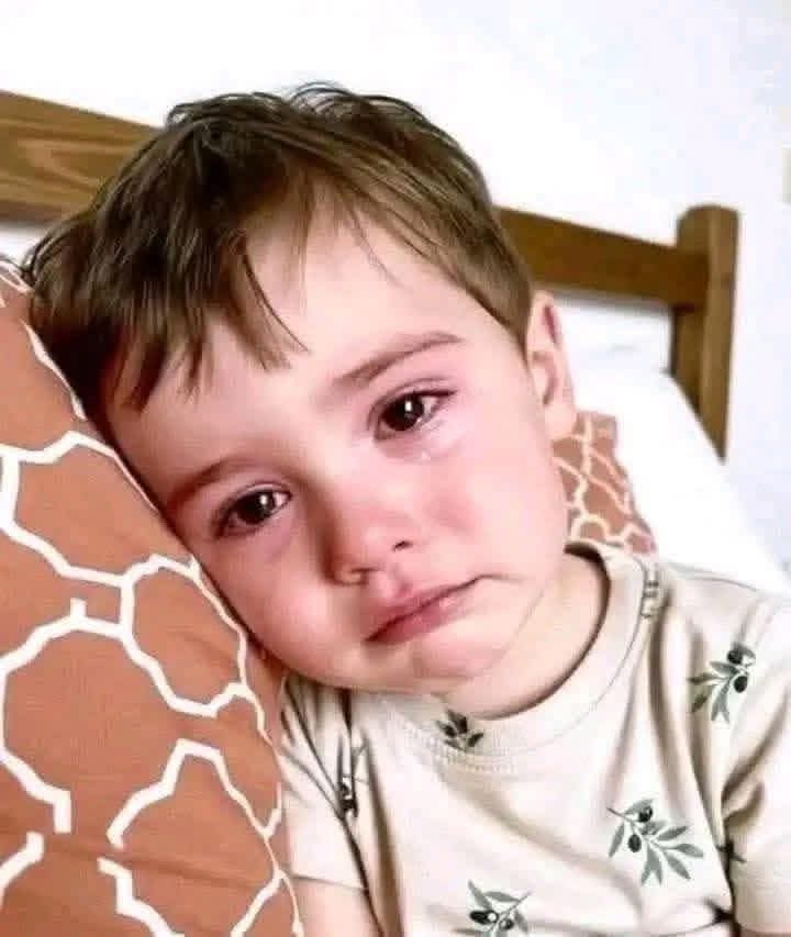 gaza_hala16396's tweet image. 