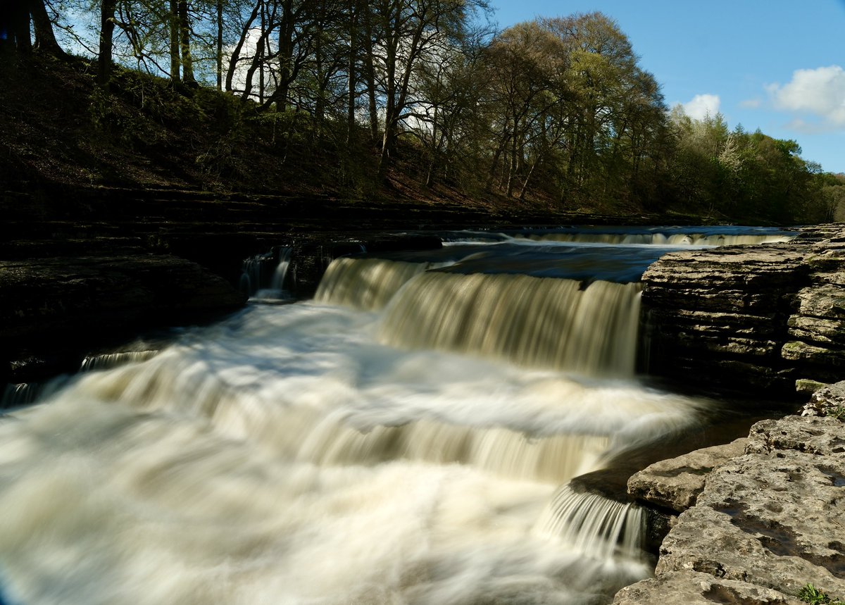 kevmoore's tweet photo. Aysgarth Falls today. #AysgarthFalls https://t.co/uMDd7c64Eq
