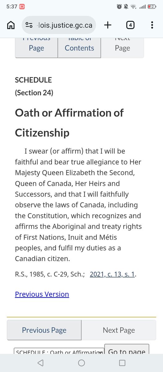 ReyannKong's tweet image. I understand how Citizenship works. I was once a Newcomer and Settlement Program (NSP) worker for a socio-cultural agency in Parkdale. Since then, I officially complained via e-mail how I want the words for the oath must be revised. #Aboriginal
