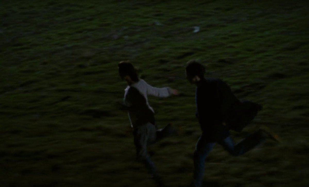 Nicolas Pedrucci tweet media