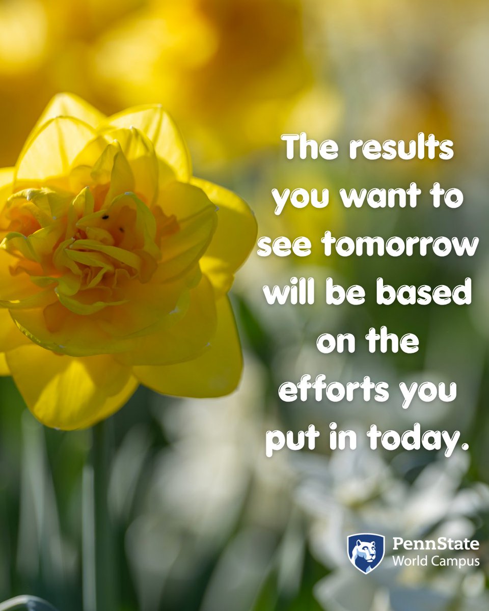 PSUWorldCampus's tweet image. Happy Sunday! What you do today shapes tomorrow. 🌞💙

#SundayMotivation #PennStateWorldCampus