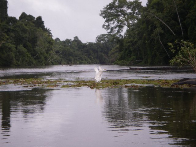 スリッシャーズアクアリウム tweet media